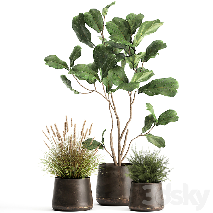 A collection of potted plants with a small Ficus lyrata tree with large leaves. Set 971. 3DS Max - thumbnail 1