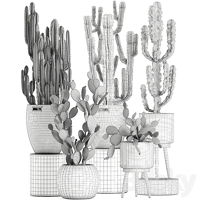 A collection of small cacti in beautiful woven rattan baskets with Prickly pear. Carnegie. Cereus. desert plants. Set 617. 3DSMax File - thumbnail 5