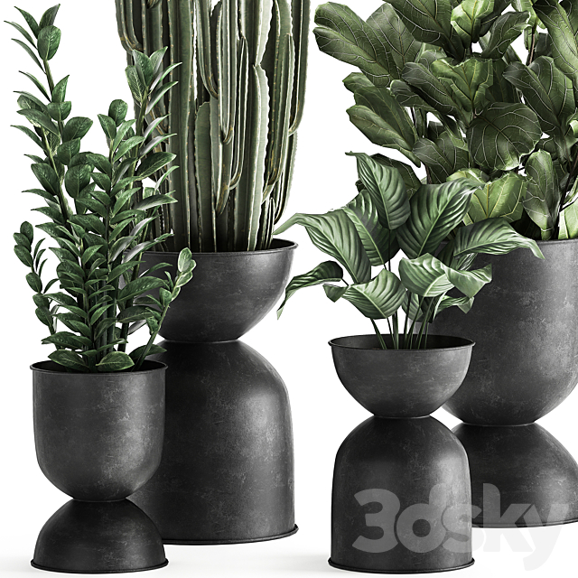 A collection of small exotic flowers in black metal pots Zamiokulkas. cactus. ficus. Set 887. 3DSMax File - thumbnail 2