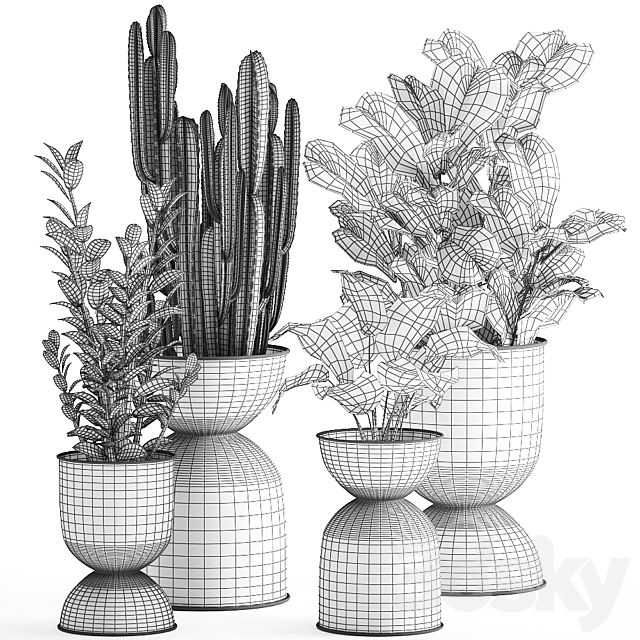 A collection of small exotic flowers in black metal pots Zamiokulkas. cactus. ficus. Set 887. 3DSMax File - thumbnail 4