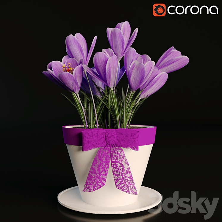 A pot of crocuses 3DS Max - thumbnail 1