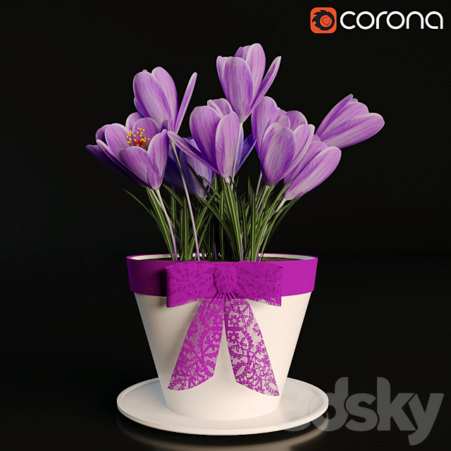 A pot of crocuses 3DSMax File - thumbnail 1