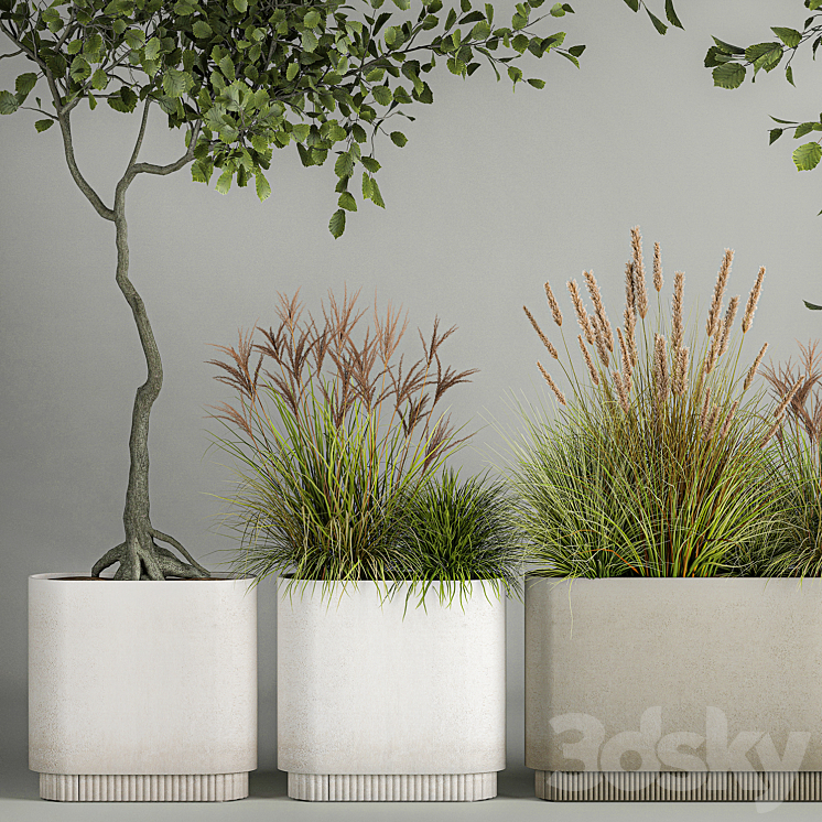 A set of plants with trees for the street and interior a flowerpot with bushes potted grass. 1124. 3DS Max Model - thumbnail 2