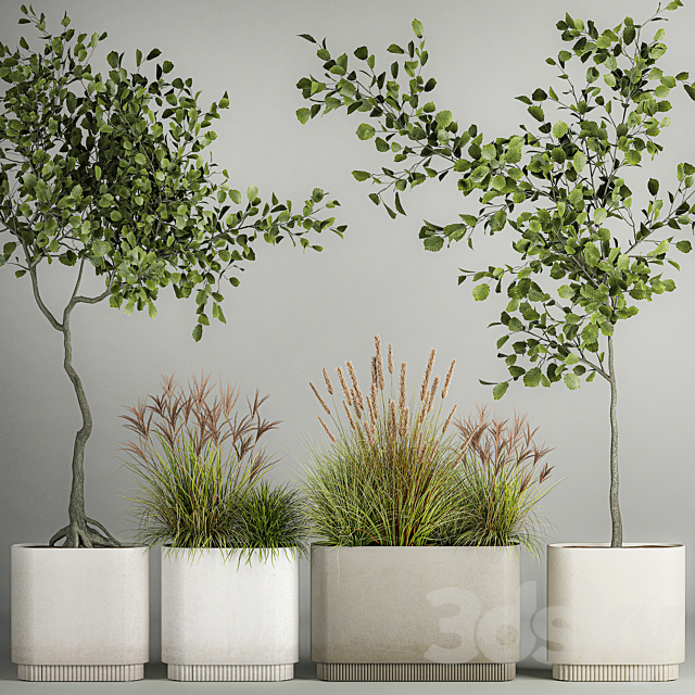 A set of plants with trees for the street and interior a flowerpot with bushes potted grass. 1124. 3DS Max Model - thumbnail 3