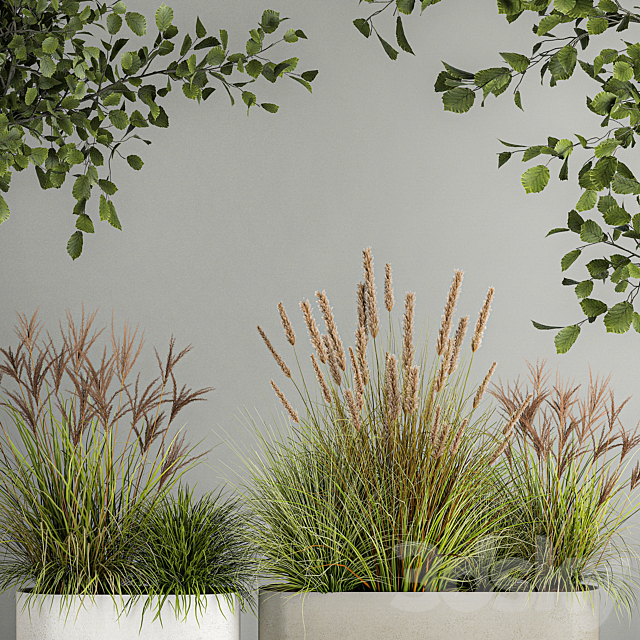 A set of plants with trees for the street and interior a flowerpot with bushes potted grass. 1124. 3DS Max Model - thumbnail 5