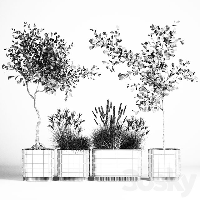 A set of plants with trees for the street and interior a flowerpot with bushes potted grass. 1124. 3DS Max Model - thumbnail 6