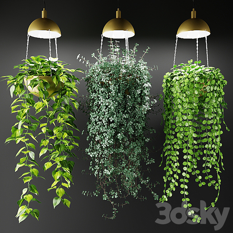 Ampel plants in a cache-pot with lamps 3DS Max - thumbnail 1