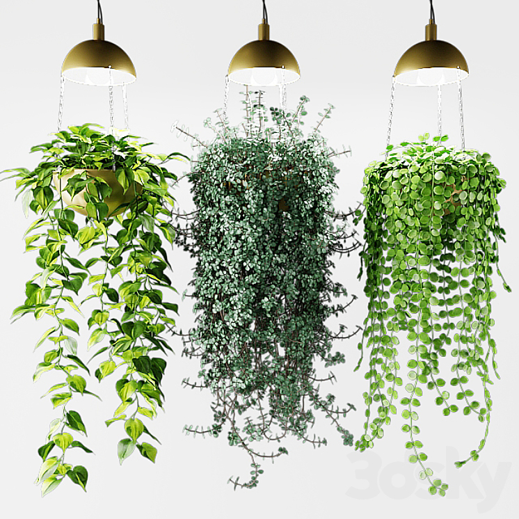 Ampel plants in a cache-pot with lamps 3DS Max - thumbnail 2