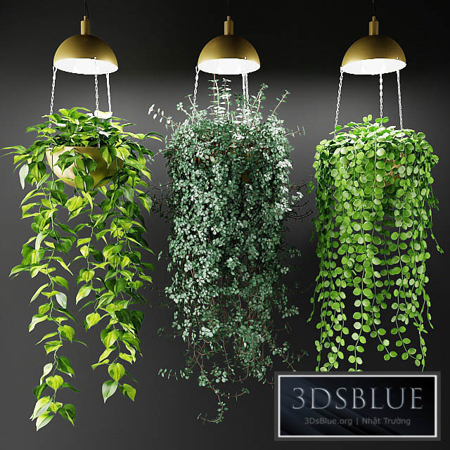 Ampel plants in a cache-pot with lamps 3DS Max - thumbnail 3