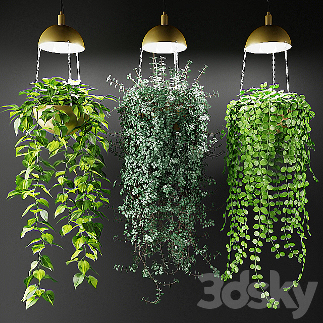 Ampel plants in a cache-pot with lamps 3DSMax File - thumbnail 1