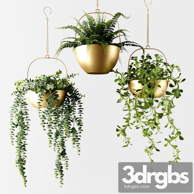 Ampel Plants in Bronze Flower Pots 3dsmax Download - thumbnail 1