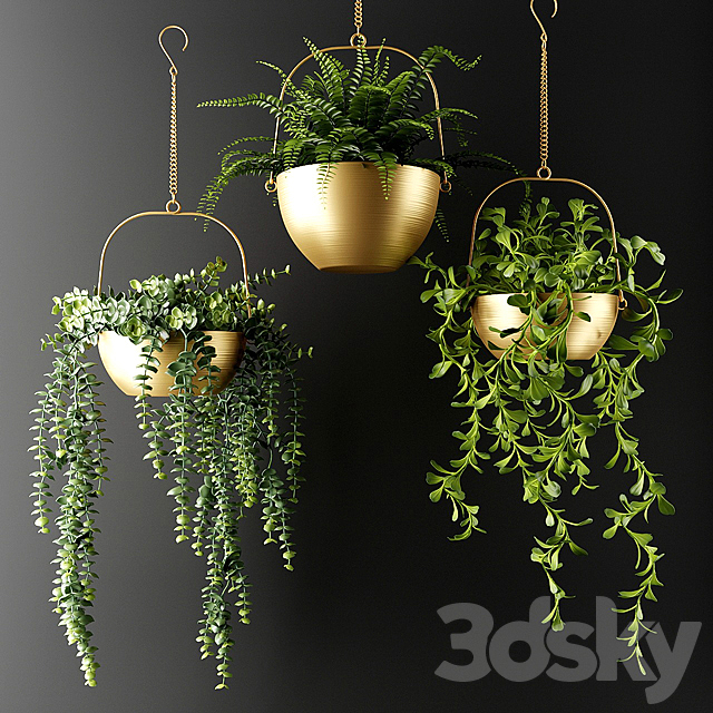 Ampel plants in bronze flower pots | Ampel plants in bronze flower pots 3DSMax File - thumbnail 1