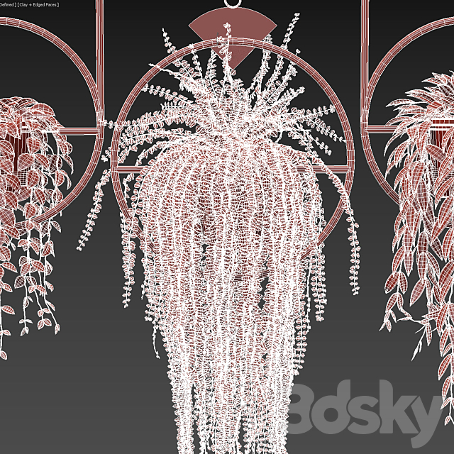 Ampel plants in hanging pots with black rings – set 15 3DSMax File - thumbnail 3