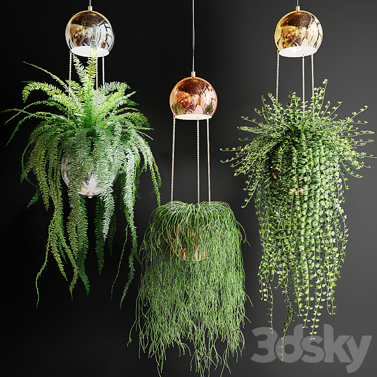 Ampel plants in pots with lamps 3DS Max - thumbnail 1