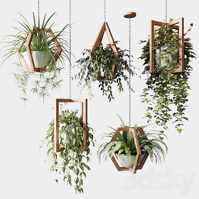 Ampelous plants in wooden figured hanging pots 3ds Max - thumbnail 1