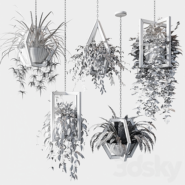 Ampelous plants in wooden figured hanging pots 3ds Max - thumbnail 2