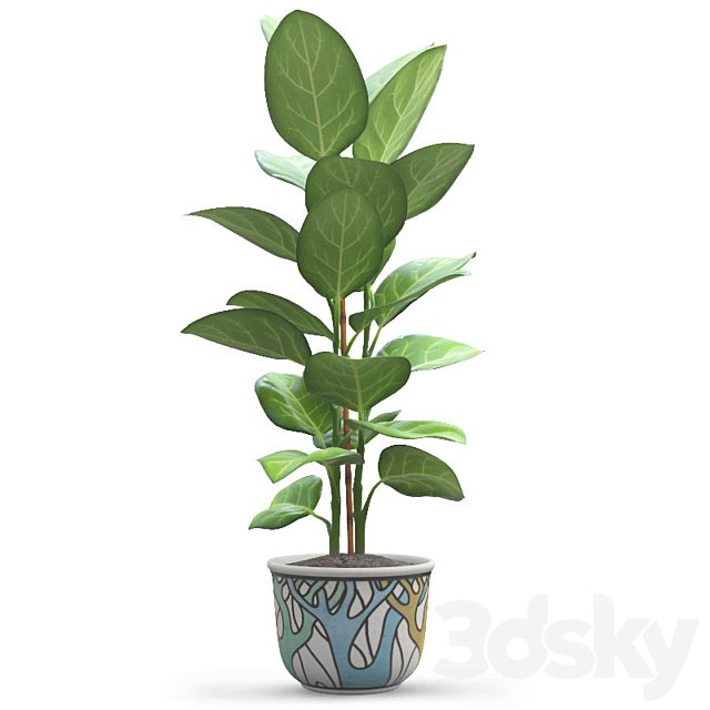 Andre Ficus 3DSMax File - thumbnail 1