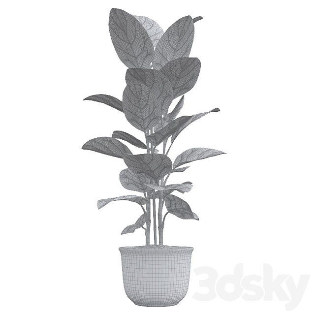 Andre Ficus 3DSMax File - thumbnail 3