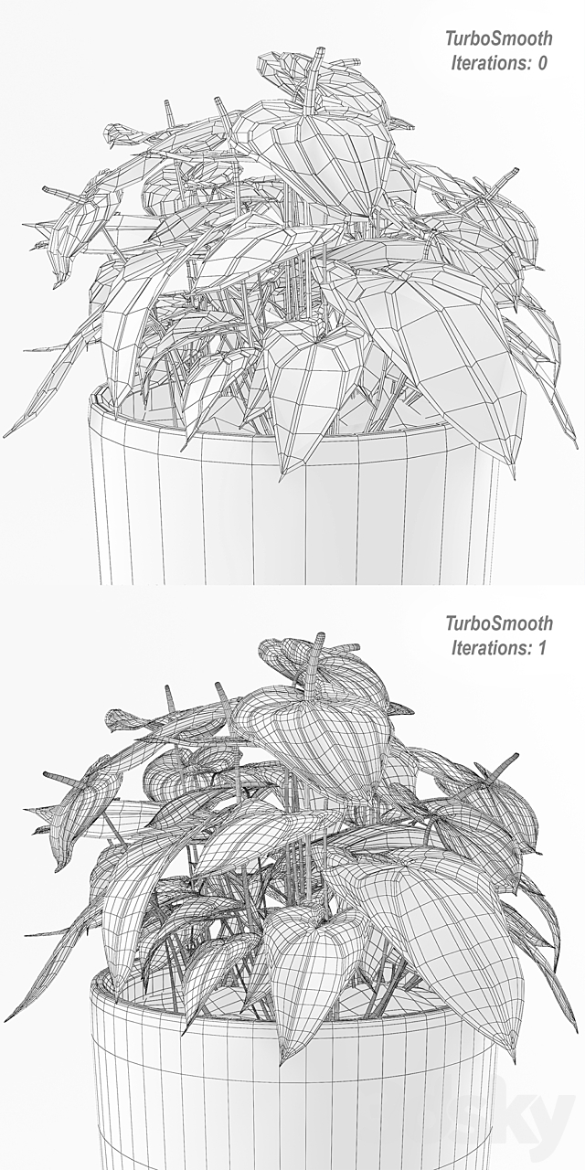 Anthurium 3DSMax File - thumbnail 3