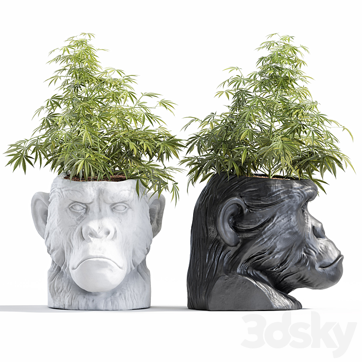 Ape Head Planter 3DS Max Model - thumbnail 1