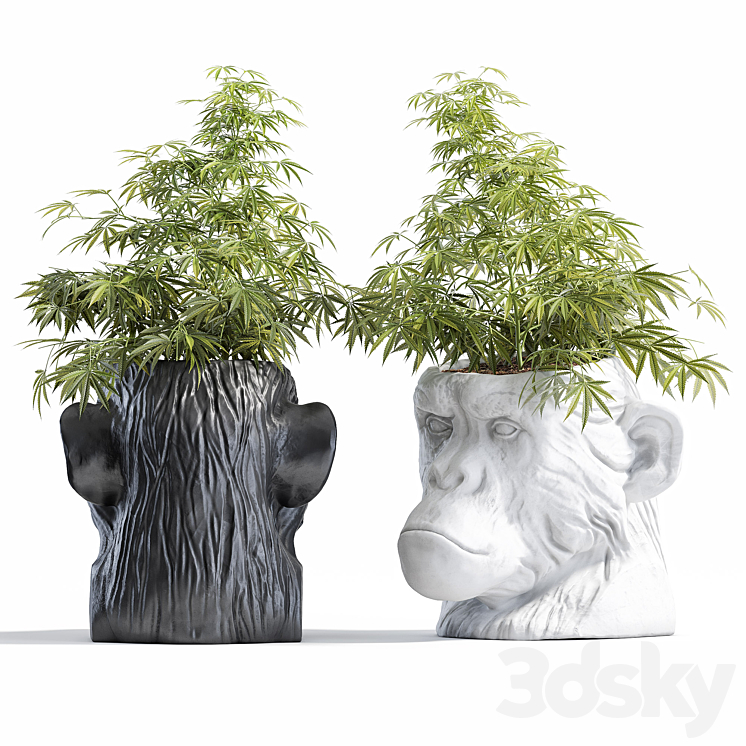 Ape Head Planter 3DS Max Model - thumbnail 2