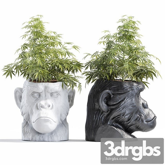 Ape head planter - thumbnail 1