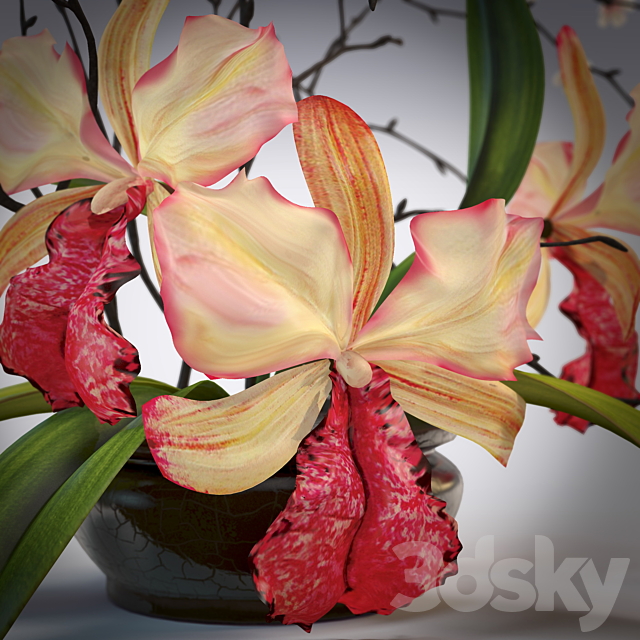 Arrangement of orchids 3DS Max Model - thumbnail 3