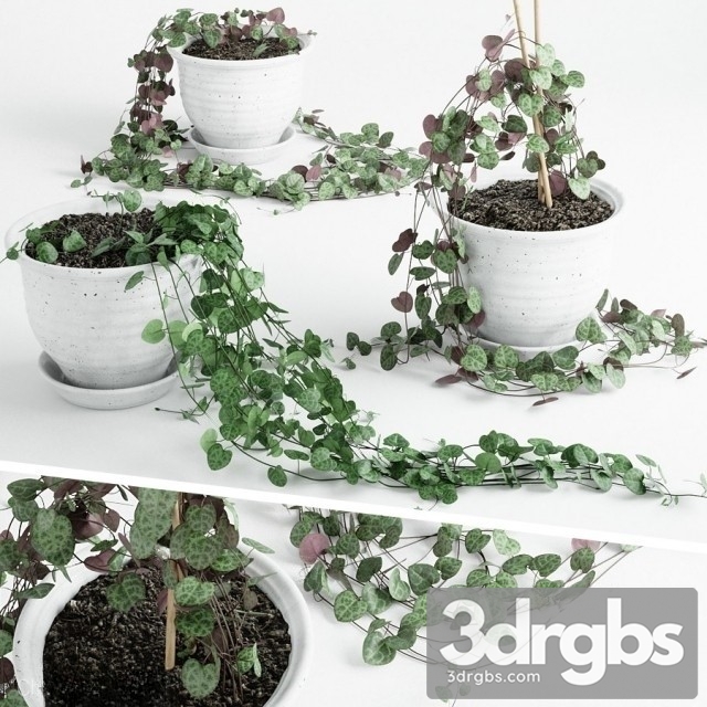 Artificial Vines Garland 2 3dsmax Download - thumbnail 1