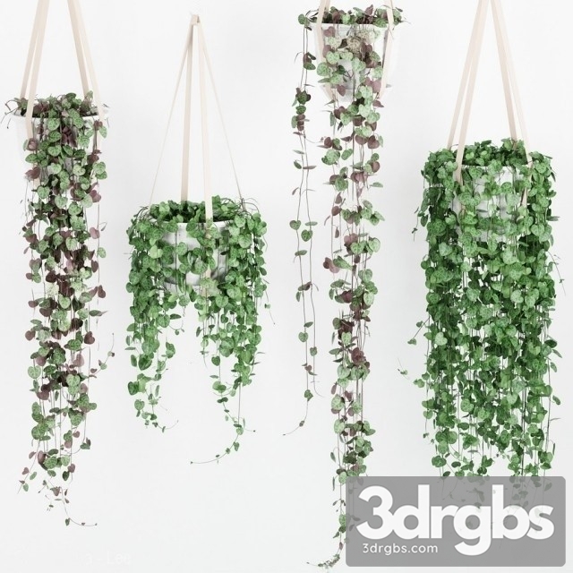 Artificial Vines Garland 3dsmax Download - thumbnail 1