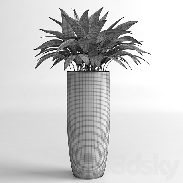 Aspidistra plants 3DSMax File - thumbnail 3