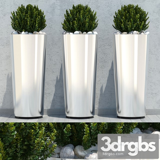 Ball Plant 03 3dsmax Download - thumbnail 1