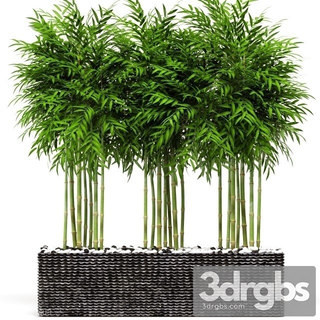 Bamboo Rectang Pot 3dsmax Download - thumbnail 1