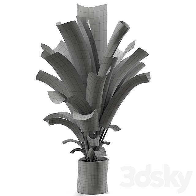 banana plant 012 3DS Max Model - thumbnail 2