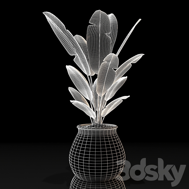 banana tree 3DS Max Model - thumbnail 3