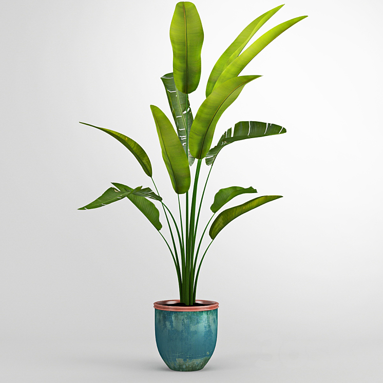 Banana trees 3DS Max - thumbnail 1