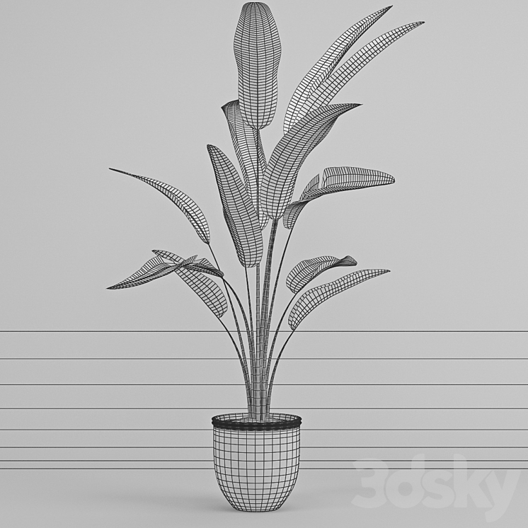 Banana trees 3DS Max - thumbnail 2