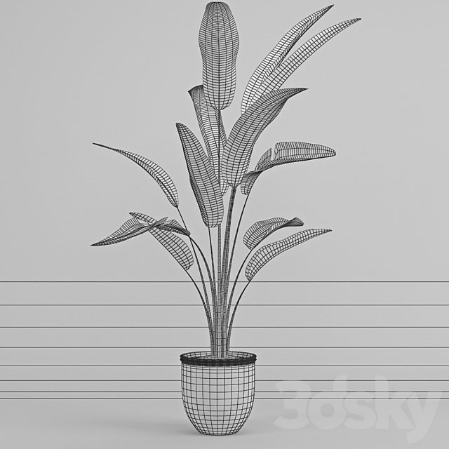 Banana trees 3DSMax File - thumbnail 2