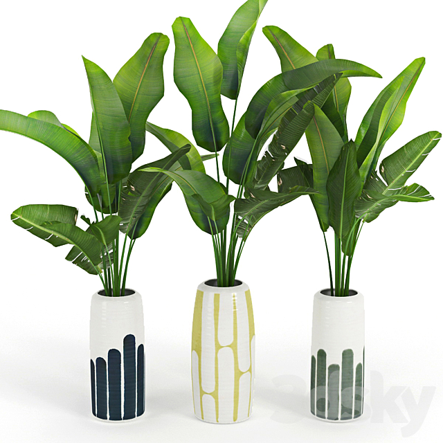 Banana_Palm_Striped_Tall_Vase 3DSMax File - thumbnail 1