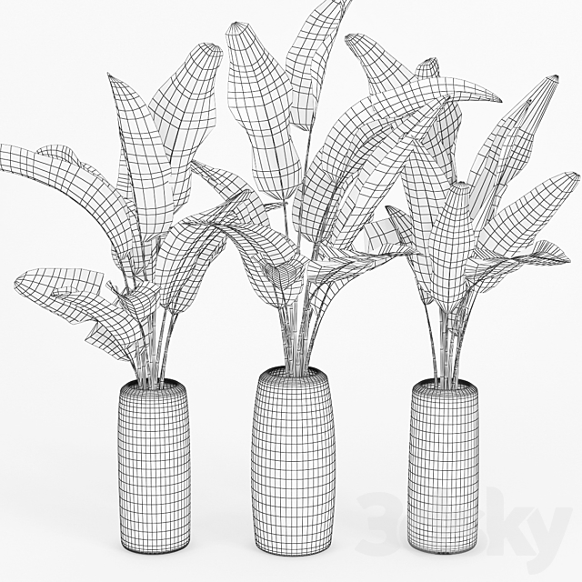 Banana_Palm_Striped_Tall_Vase 3DSMax File - thumbnail 2