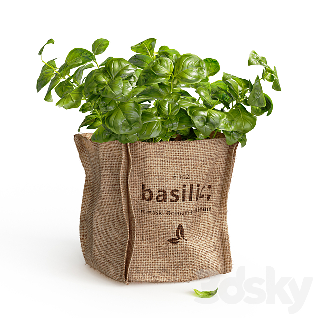 Basil in burlap (microgreens) 3ds Max - thumbnail 1