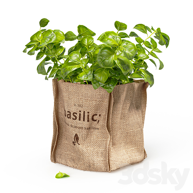 Basil in burlap (microgreens) 3ds Max - thumbnail 2