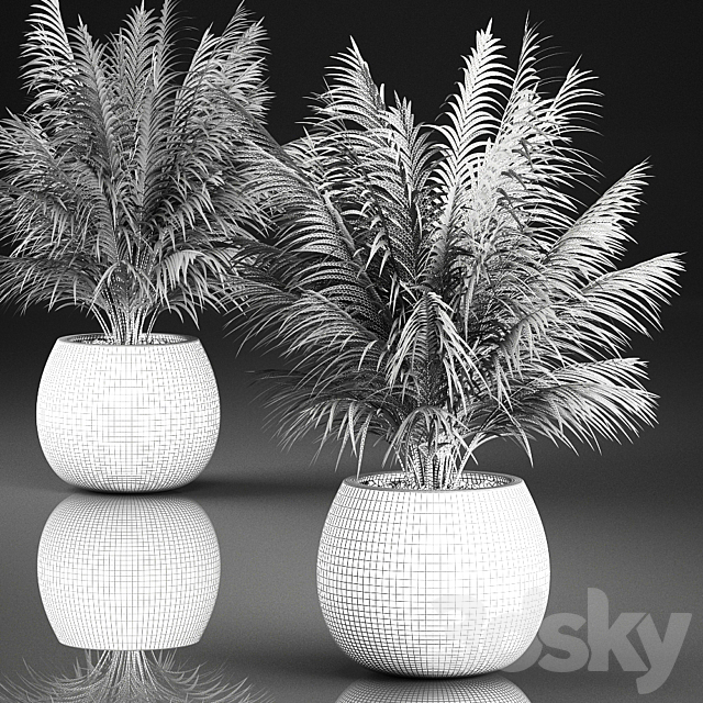 Beautiful decorative small lush bush palm tree in a basket. 827. 3DS Max Model - thumbnail 5