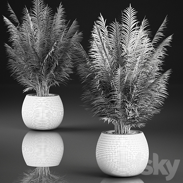 Beautiful decorative small lush bush palm tree in a basket. 828. 3DS Max Model - thumbnail 5