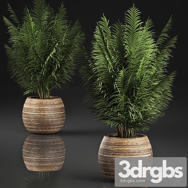 Beautiful Decorative Small Lush Palm Bush In Basket 828 3dsmax Download - thumbnail 1