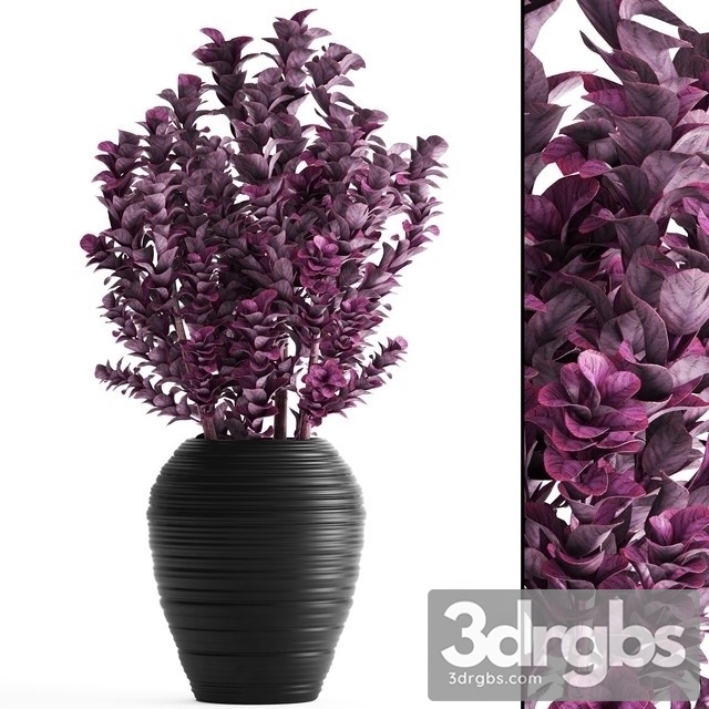 Berberis 3dsmax Download - thumbnail 1