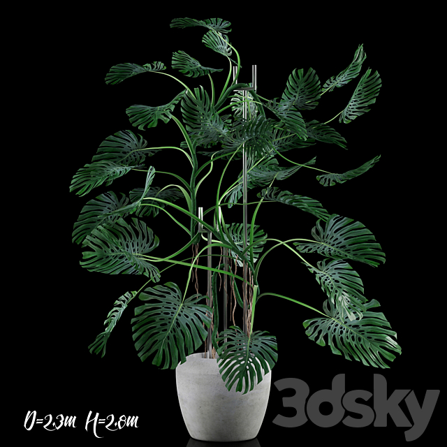 Big Monstera _ Big Monstera 3DSMax File - thumbnail 1