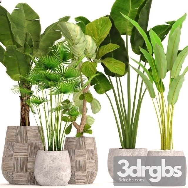 Big Set Plant 3dsmax Download - thumbnail 1