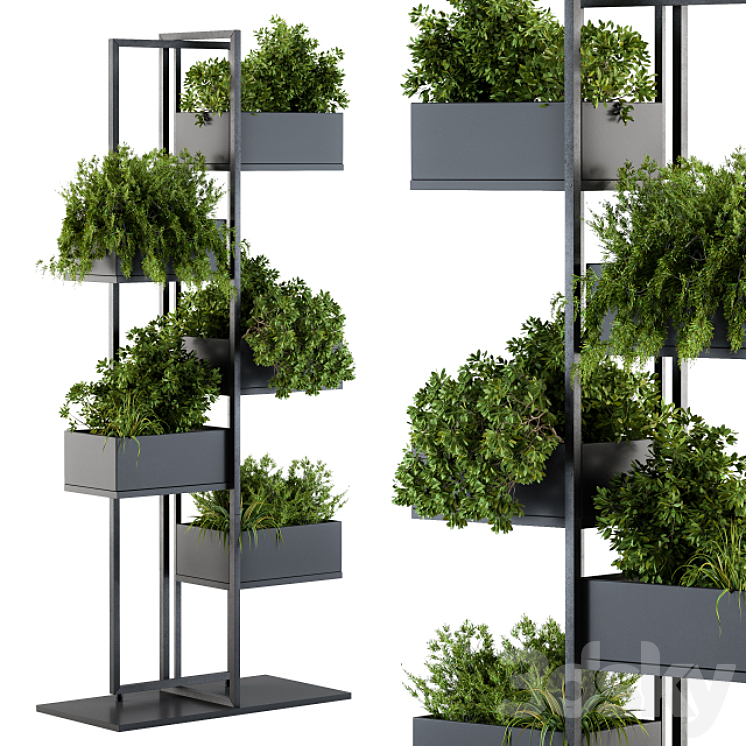 Black Box Plants on stand 03 3DS Max - thumbnail 1