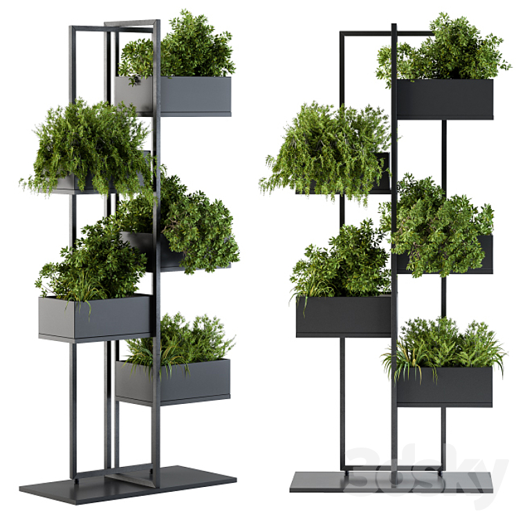 Black Box Plants on stand 03 3DS Max - thumbnail 2