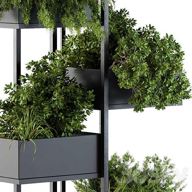 Black Box Plants on stand 03 3DSMax File - thumbnail 3